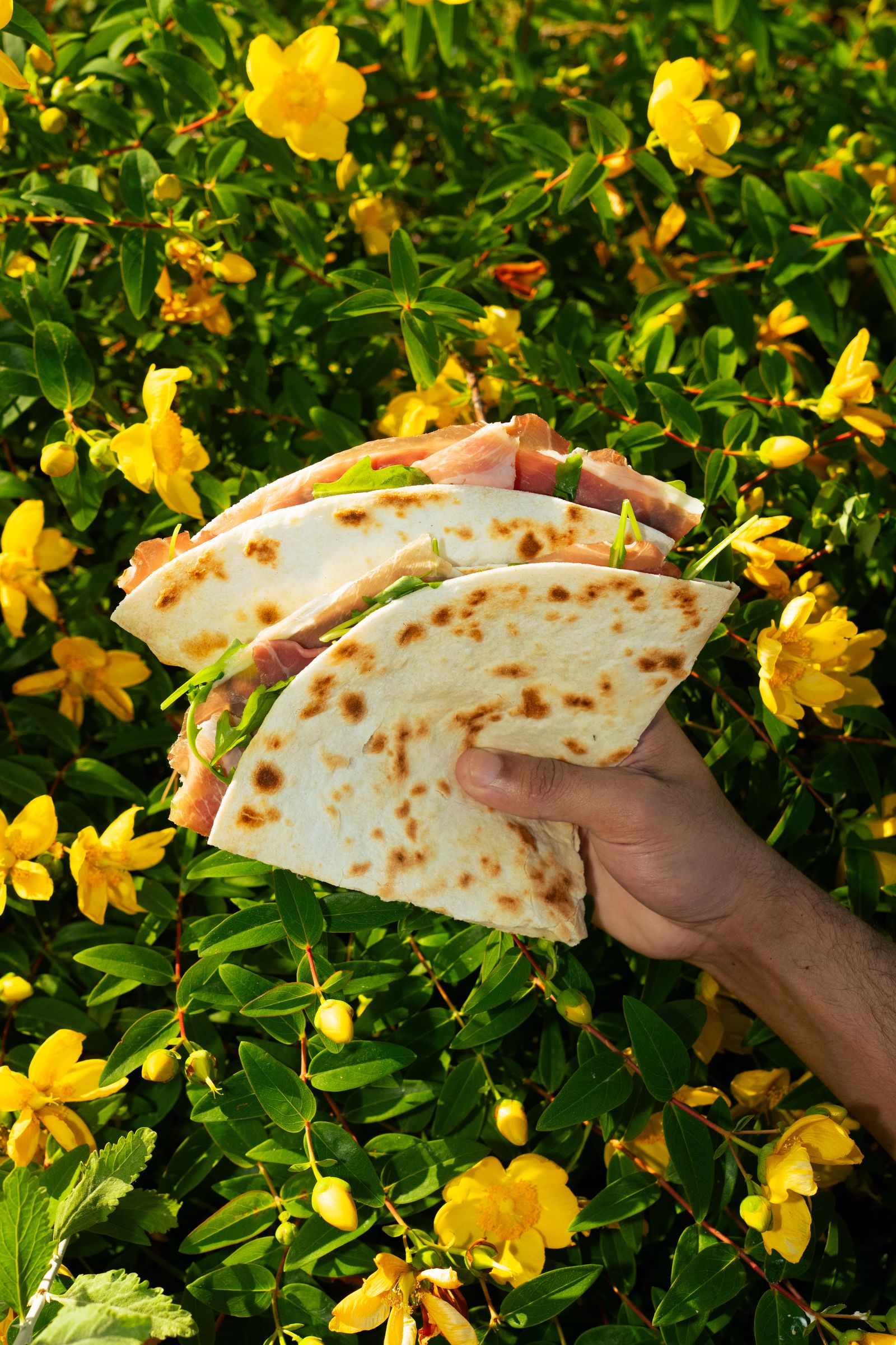 Piadine Classiche