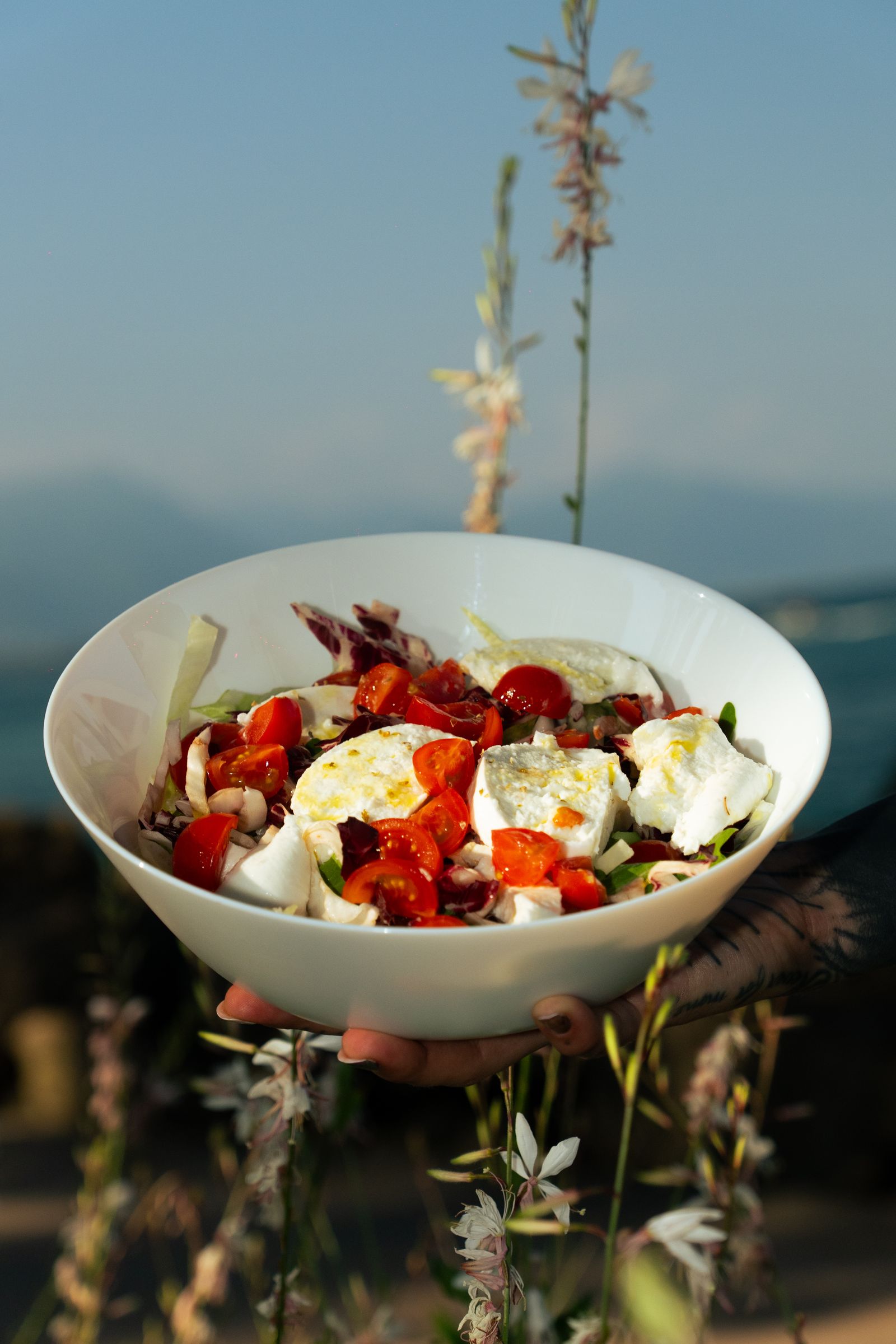 Proposte Gourmet